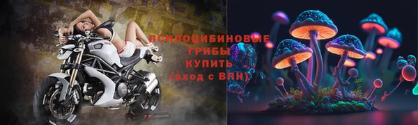 ALPHA PVP Бородино
